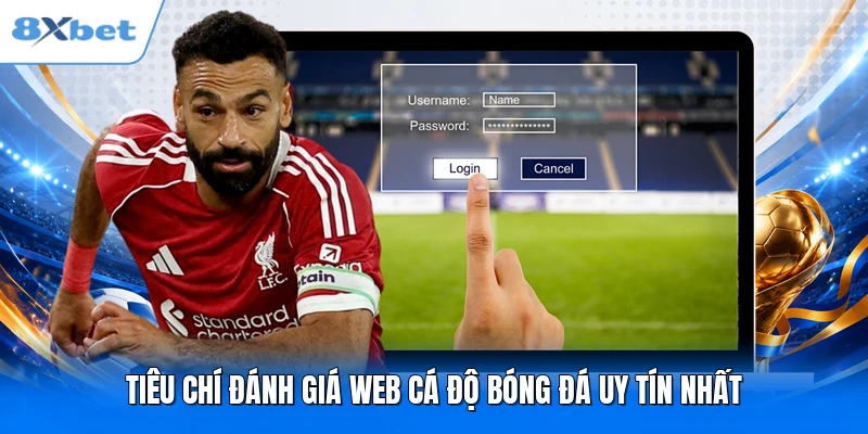 Tiêu chí đánh giá web cá độ bóng đá uy tín nhất