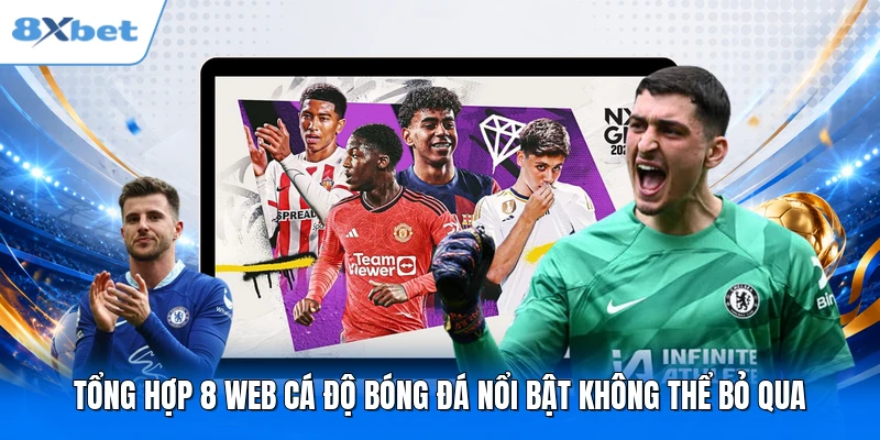 Tổng hợp 8 web cá độ bóng đá nổi bật không thể bỏ qua